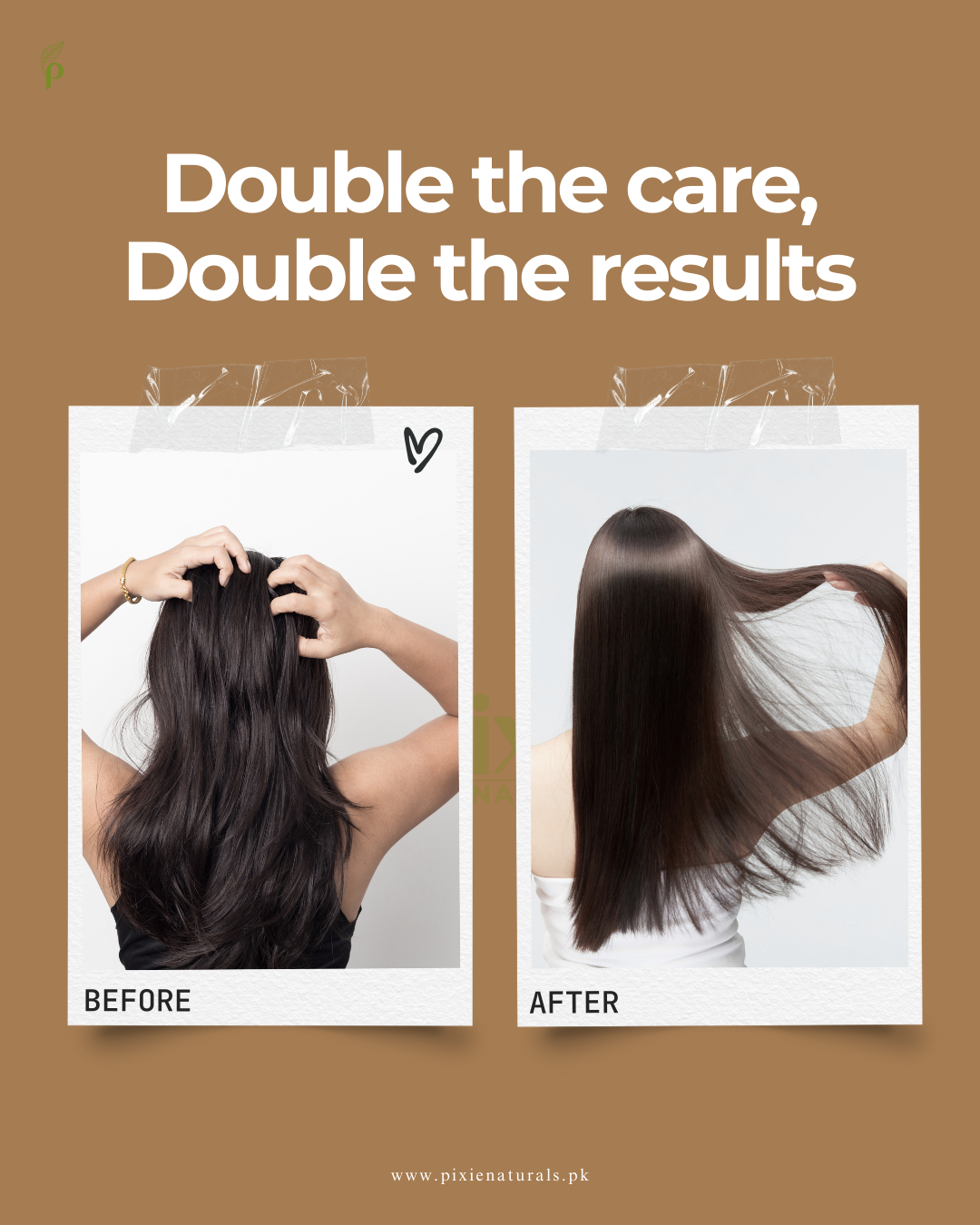 Roots Repair Bundle
